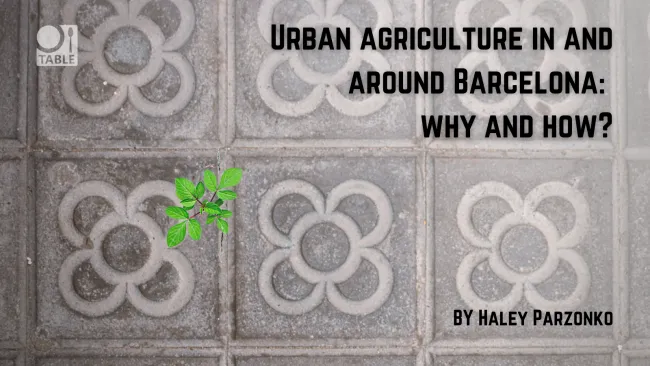 Urban agriculture in and around Barcelona: why and how? by Haley Parzonko