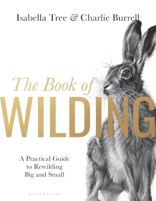 The cover of “The Book of Wilding: A practical guide to rewilding big and small” by Isabella Tree and Charlie Burrell.