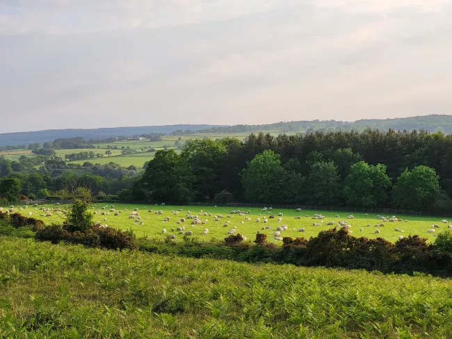 View of a family farm in Northumberland
