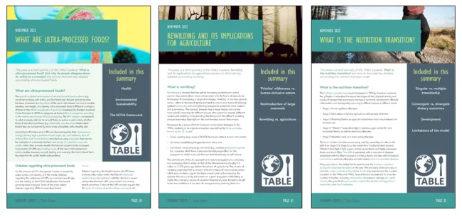 an image of a few summary briefs