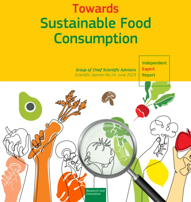The cover of the European Commission report Towards sustainable food consumption with illustrations of hands holding various vegetables. 