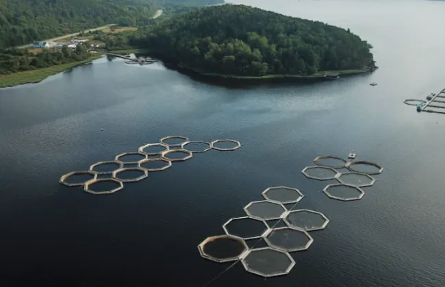 Aerial view freshwater aquaculture farm. Photo by Alexey Komissarov via Pexels.