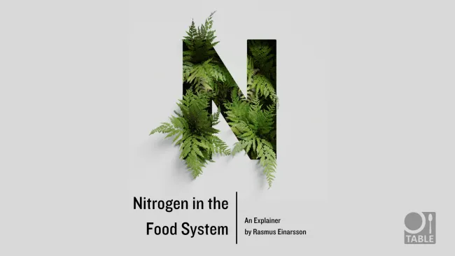 A flyer for the TABLE explainer by Rasmus Einarsson called "Nitrogen in the Food System" with an image of a cutout letter "N" with ferns growing through.