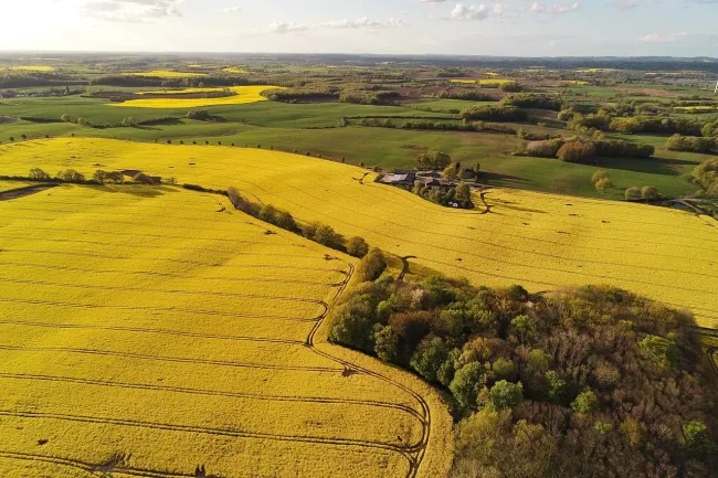 An aerial view of an agricultural landscape with pastures, fields of oil rape seed and forests. Photo by rainerh11 via pixabay