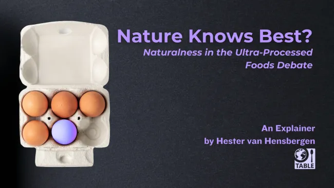 A flyer for the new explainer from TABLE called "Nature Knows Best? Naturalness in the Ultra-Processed Foods Debate" by Hester van Hensbergen with an image of an egg carton with one blue egg.