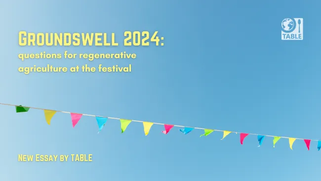 Groundswell 2024: questions for regenerative agriculture at the festival (image shows bunting against blue sky)