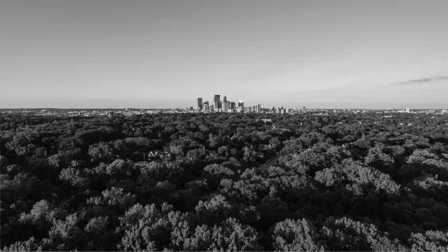 Cityscape between trees and sky in black and white - image by Josh Sorenson, Unsplash