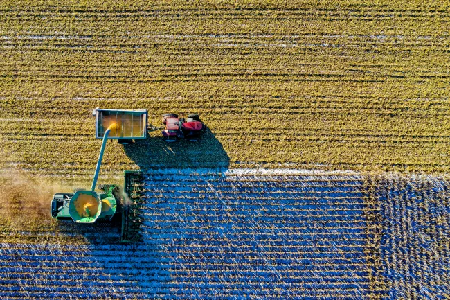Bird's eye angle of combine harvester unloading into tractor and trailer. Credit: Tom Fisk