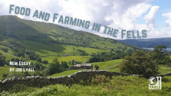 A flyer for the TABLE essay "Food and Farming in the Fells" by Joe Lyall. Background photo is a green hilly landscape in Cumbria.
