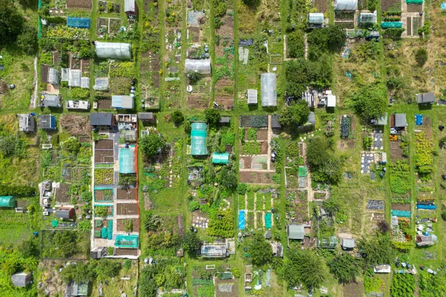 Aerial picture of urban farming. Credit Joe Hayes via Pexels