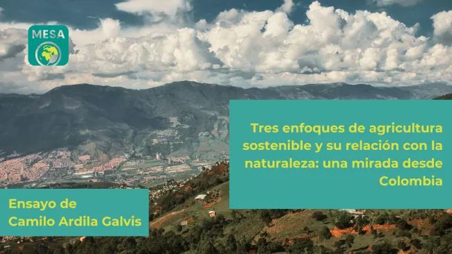 Paisaje con el título Tres enfoques de agricultura sostenible y su relación con la naturaleza: una mirada desde Colombia