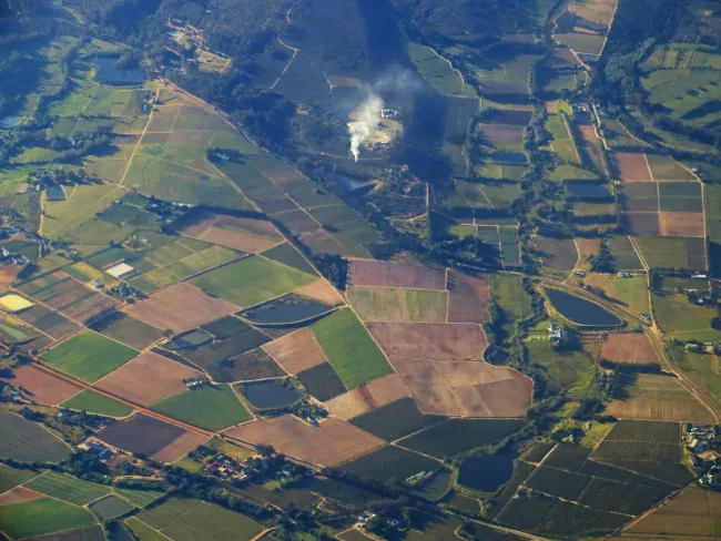 Aerial shot of field. Credit: Magda Ehlers via Pexels. 