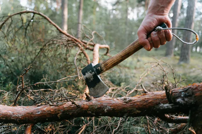 Axe on piece of wood in forest. Credit Ivan Samkov via Pexels