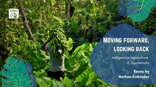 A flyer for the TABLE essay “Moving forward, looking back: Indigenous approaches in the Anthropocene” by Nathan Einbinder. The background is a photo of a farmer carrying a banana raceme on his back, photo provided by Nathan Einbinder.