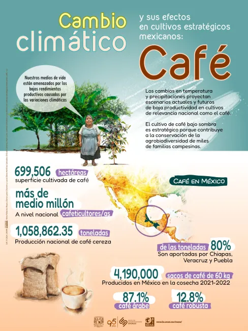 One of the infographics about climate change and coffee developed by MESA.