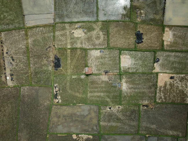 Aerial view of small fields. Credit: Tom Fisk via Pexels