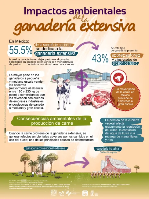 Infografía de los impactos ambientales de la ganadería extensiva en México