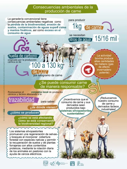 Infografía de los impactos ambientales de la ganadería extensiva en México, pagina 2