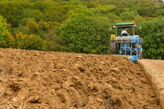 Image: Winniepix, The ploughing match-19.jpg, Flickr, Creative Commons Attribution 2.0 Generic