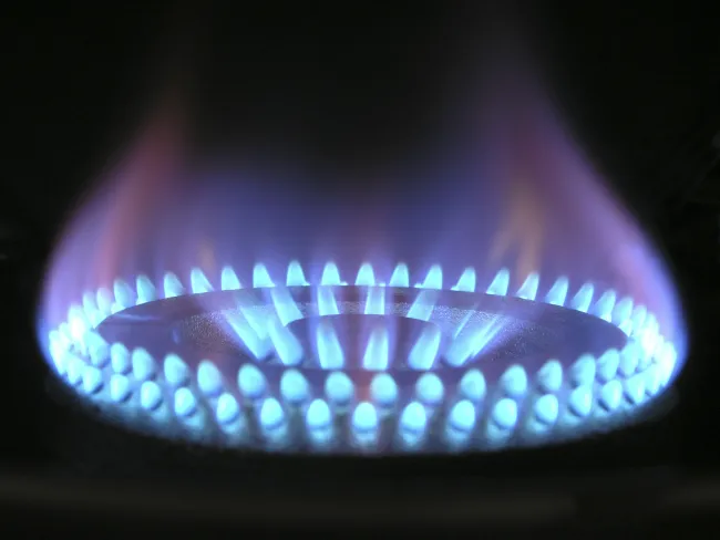 Image: Magnascan, Flame, Pixabay, Public Domain