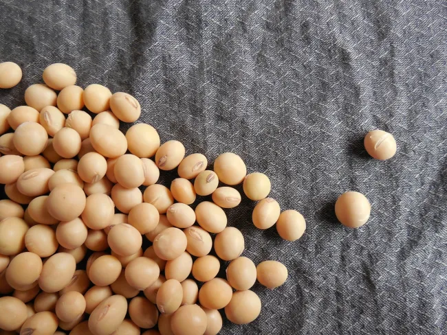 Image: Jing, Soybeans Beans Soy, Pixabay, Pixabay Licence