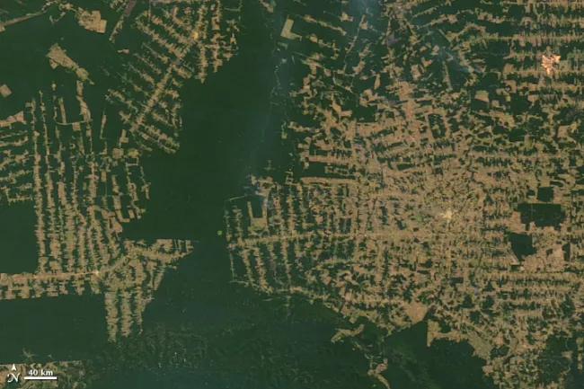 Image: NASA, Deforestation in the state of Rondônia in western Brazil, Wikimedia Commons, Public domain
