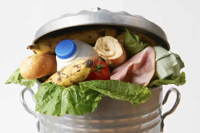 USDA, Fresh food in garbage can to illustrate waste, Flickr, Creative Commons Attribution 2.0 Generic