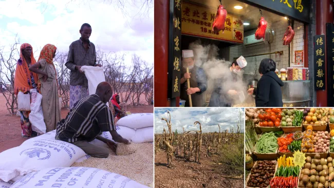 Image montage (clockwise from left): DFAT, A_Peach, Jon Aslund and USDA via Flickr