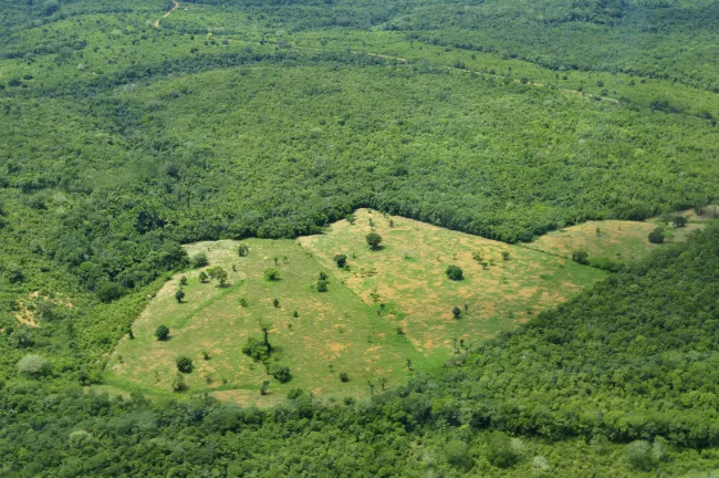 Amazon land use by CIAT via Flickr