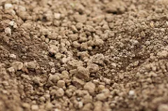 Photo: Raúl Hernández González, Flickr, Creative Commons License 2.0