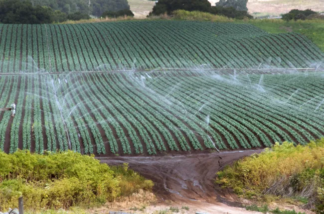 Image: USDA, Sprinkler watering Farm in California, Good Free Photos, Public Domain