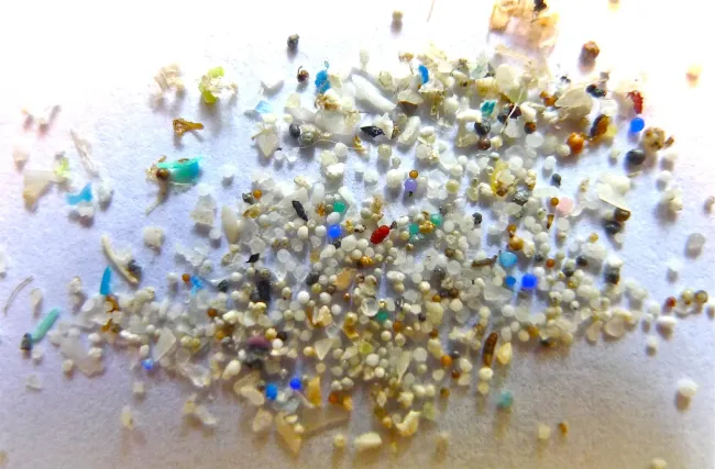 Image: Oregon State University, Microplastic, Flickr, Creative Commons Attribution-ShareAlike 2.0 Generic