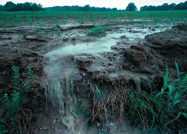 Image: Lynn Betts, Runoff of soil & fertilizer, Wikimedia Commons, Public domain