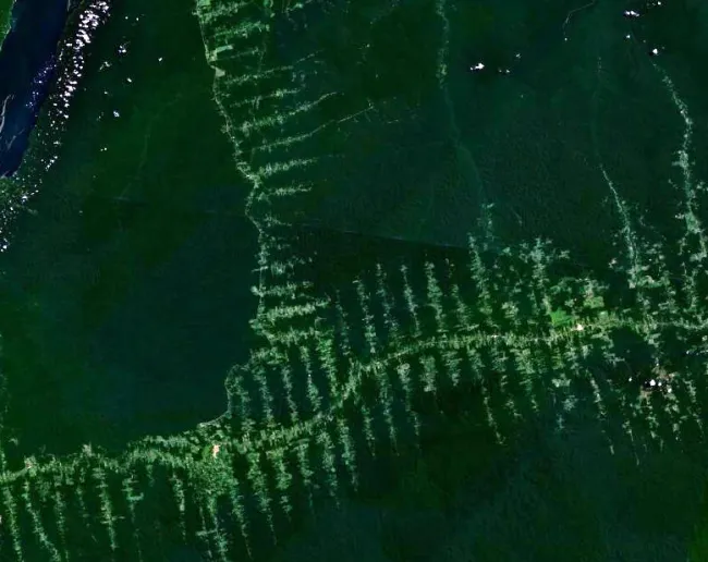 Image: NASA, Deforestation in Amazonia, seen from satellite, Wikimedia Commons, Public Domain
