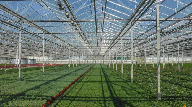 Photo: -JvL-, Westland greenhouse, Flickr, CC 2.0