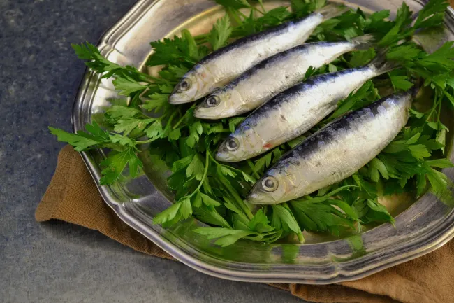Image: DanaTentis, Sardine Pesce Fresco, Pixabay, Pixabay License