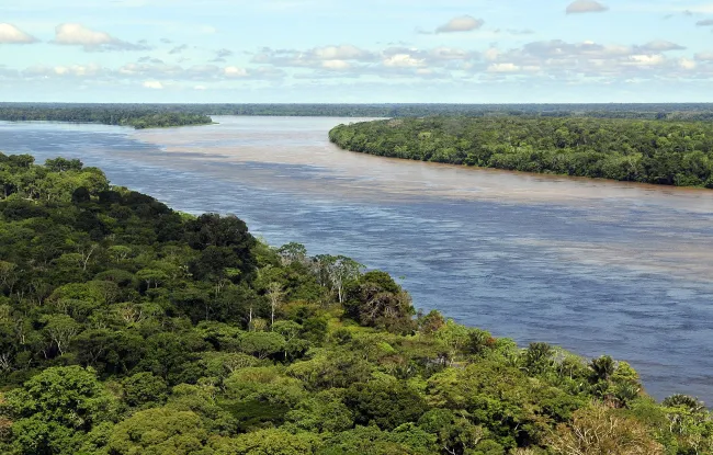 Image: Neil Palmer, Aerial view of the Amazon Rainforest, near Manaus, the capital of the Brazilian state of Amazonas, Wikimedia Commons, Creative Commons Attribution-Share Alike 2.0 Generic