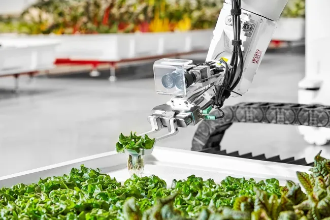 Image: Iron Ox Media Assets, Transplanter hero