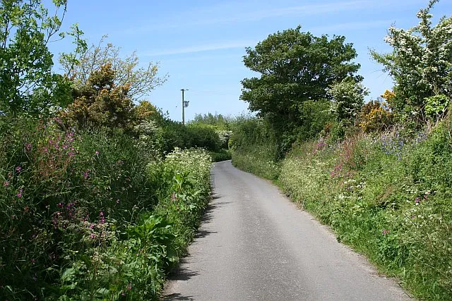 Image: Tony Atkin, Colourful Hedgerows, Geograph, Creative Commons Attribution-ShareAlike 2.0 Generic Image: Tony Atkin, Colourful Hedgerows, Geograph, Creative Commons Attribution-ShareAlike 2.0 Generic