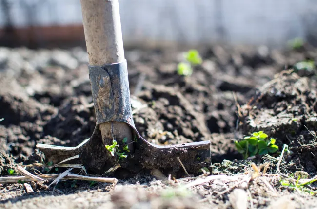 Image: Lukas, Brown shovel, Pexels, Pexels Licence