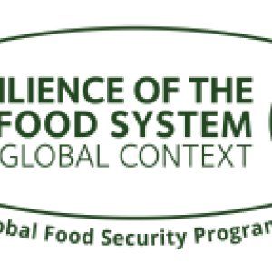 Resilience of the UK food system in a global context logo