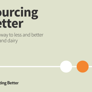 Sourcing Better report cover