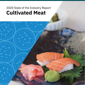 2020 State of the Industry Report: Cultivated Meat
