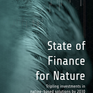 State of finance for nature