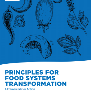 Principles and framework for food systems transformation