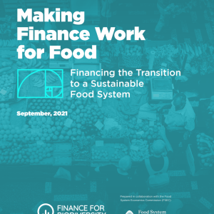 Making finance work for food