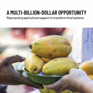 Repurposing agricultural support to transform food systems