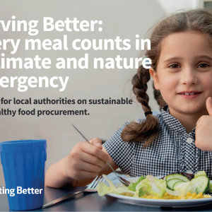 Serving Better: A guide for local authorities