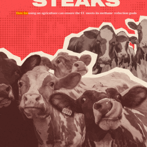 High Steaks: Reducing agricultural methane in the EU