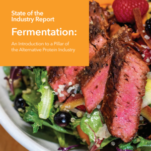 Fermentation in the alternative protein industry